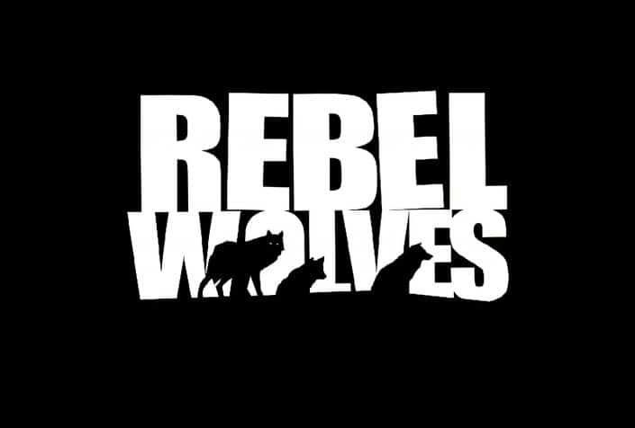 Rebel Wolves: „Strategische Investition“ von NetEase erhalten