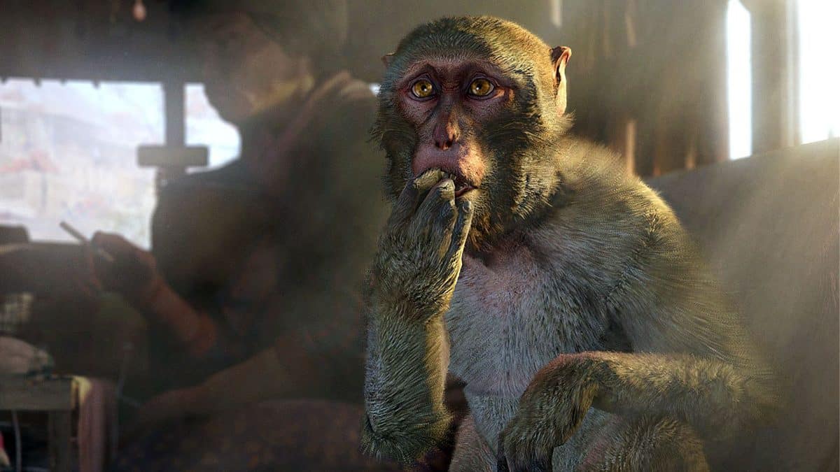Far Cry 4: 60 FPS auf PS5 – Ubisoft veröffentlicht Update 1.08