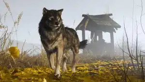 Ghost of Yotei: Jin Sakai als Wolf-Reinkarnation oder andere Referenzen? Sucker Punch dämpft Erwartungen