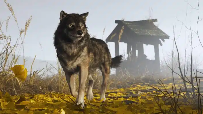 Ghost of Yotei: Trailer zeigt Atsu & einen tierischen Begleiter –  State of Play zum Spiel angekündigt