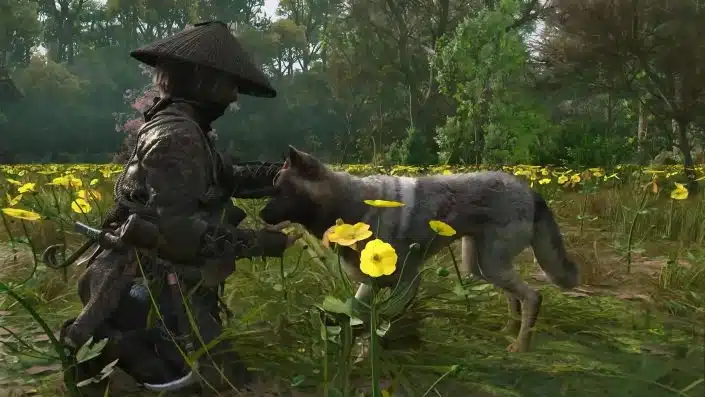 Assassin’s Creed Shadows: Keine Tierjagd – Ubisoft erläutert, was dahintersteckt