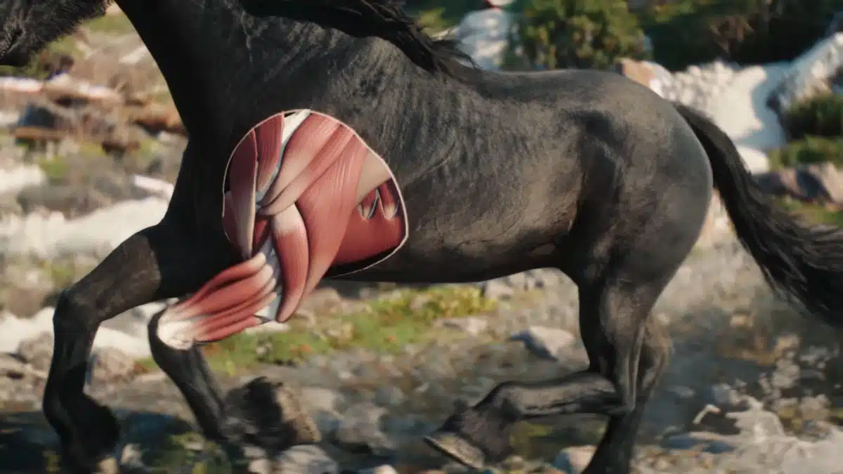 The Witcher 4: So realistisch wird Ciris Pferd Kelpie – Selbst RDR2 hat das Nachsehen